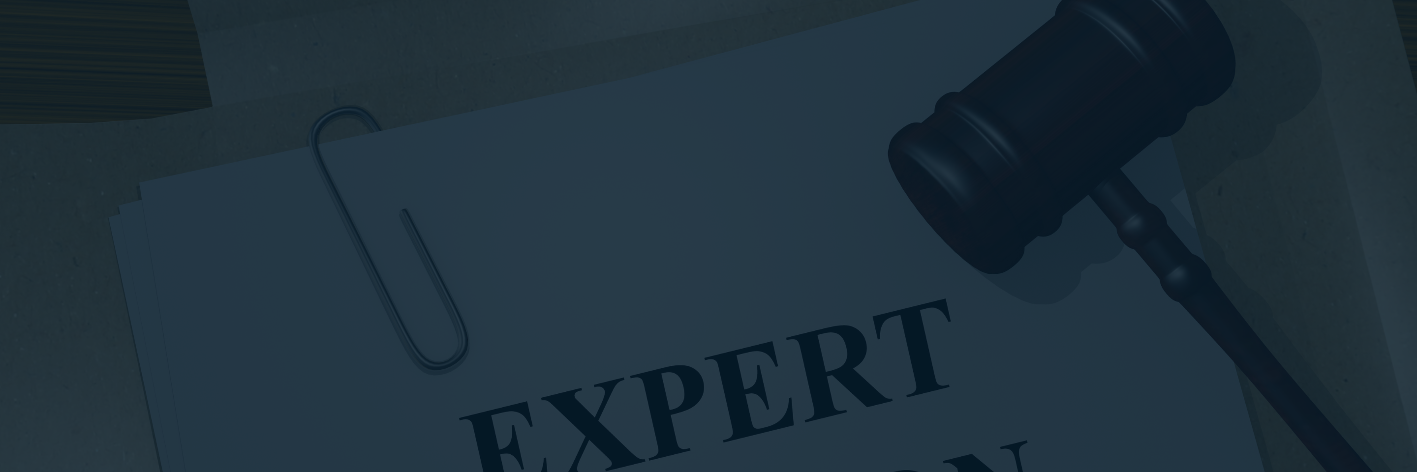 Ontario Appeals: Lawyers Can Consult Experts for Opinions