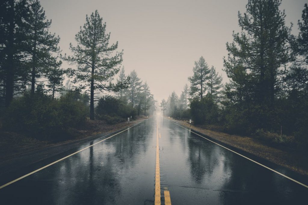 Blog 18 - rainy road