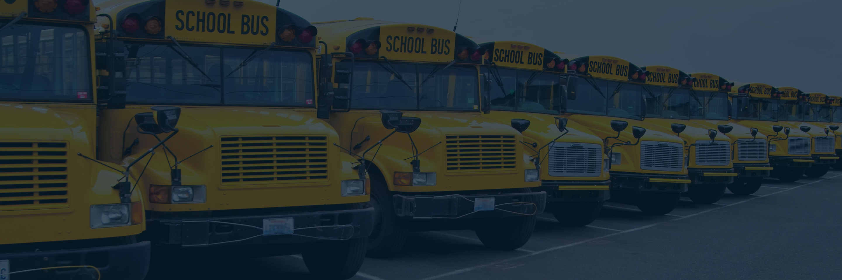 School Bus Safety: What You Need to Know