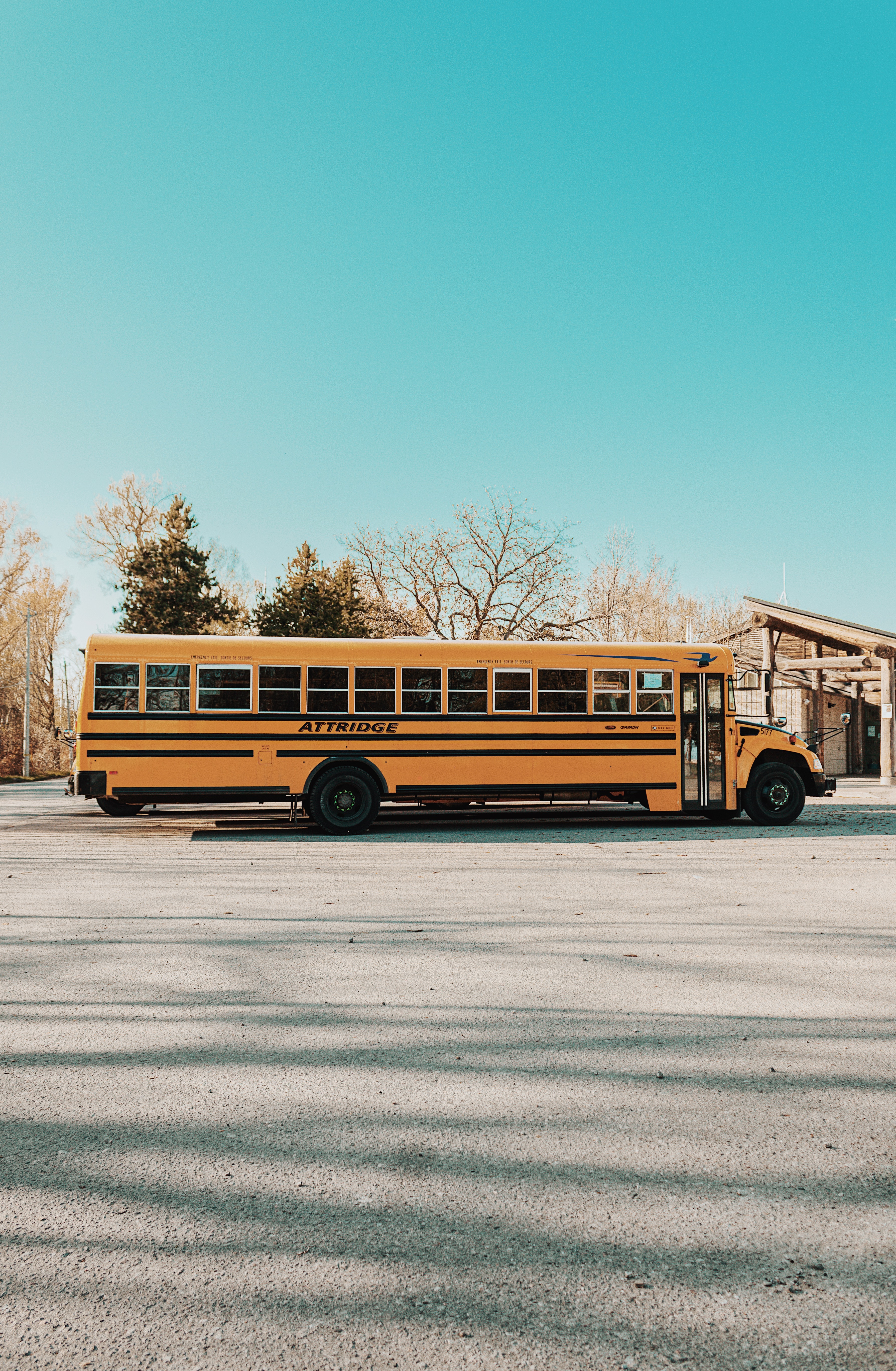 Back to Safety: Keeping Kids Safe on the Way to School | McLeish Orlando LLP Back to Safety: Keeping Kids Safe on the Way to School | McLeish Orlando LLP