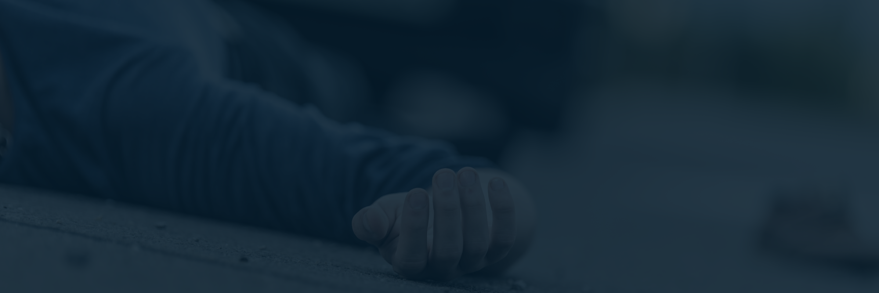 Lamb v Co-Operators General Insurance, 2020 ONSC 4955