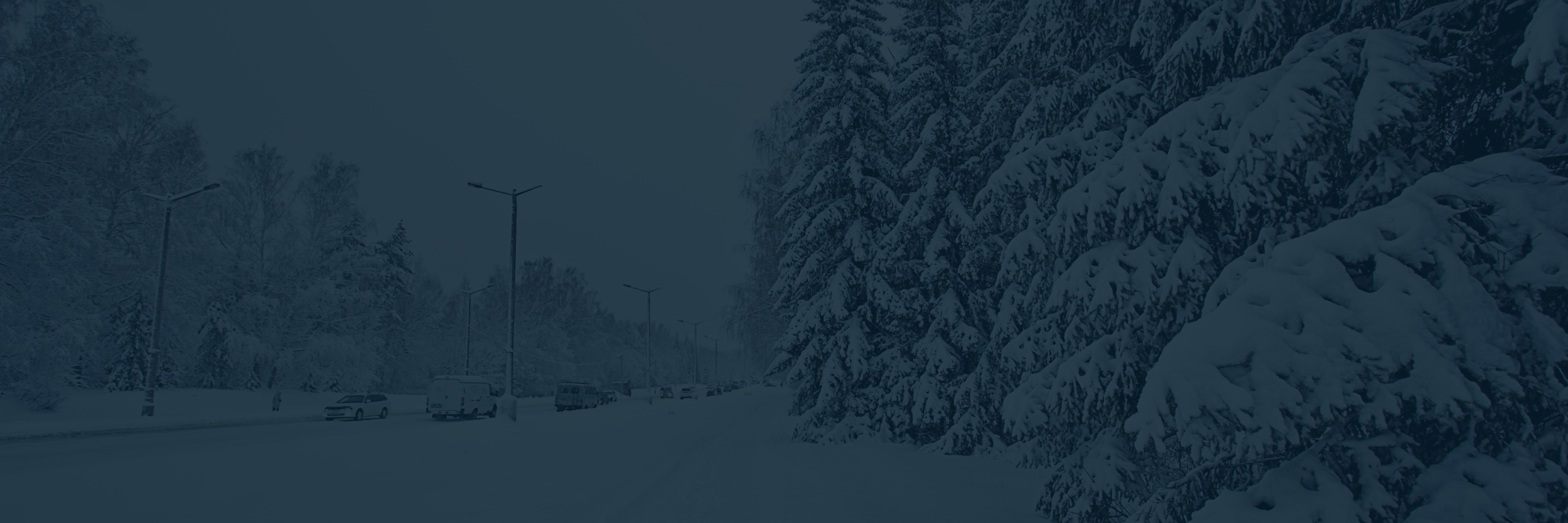 City of Nelson v Marchi, 2020 CanLII 57554 (SCC)