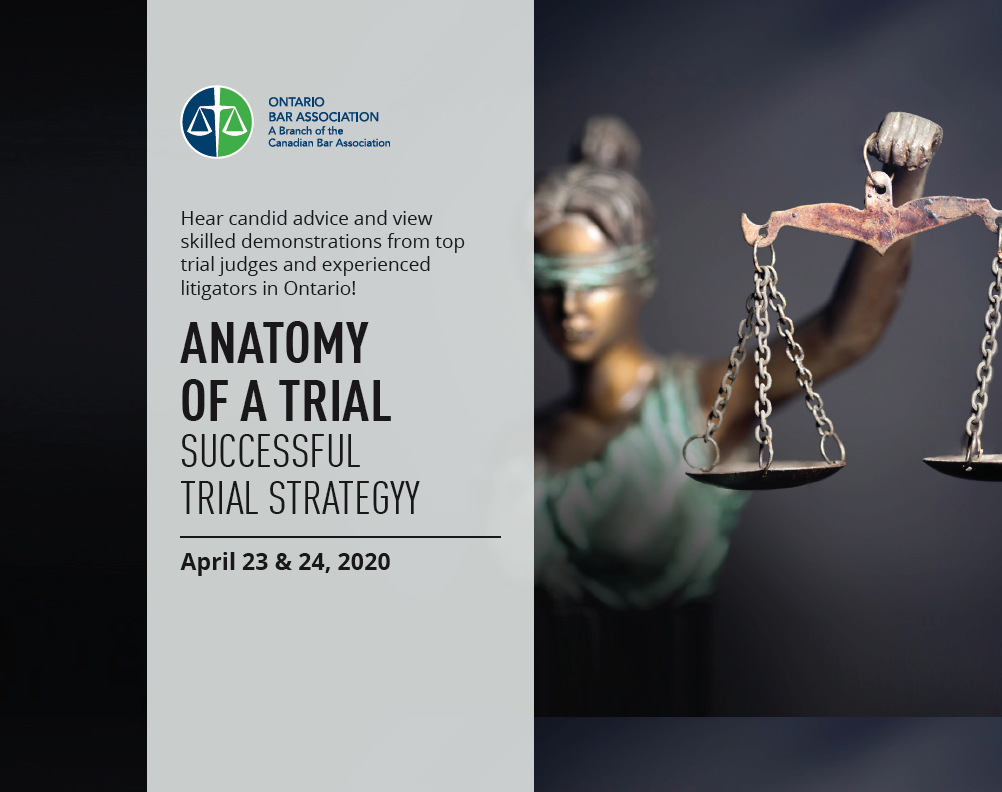 Anatomy of a Trial Successful Trial Strategy McLeish Orlando LLP