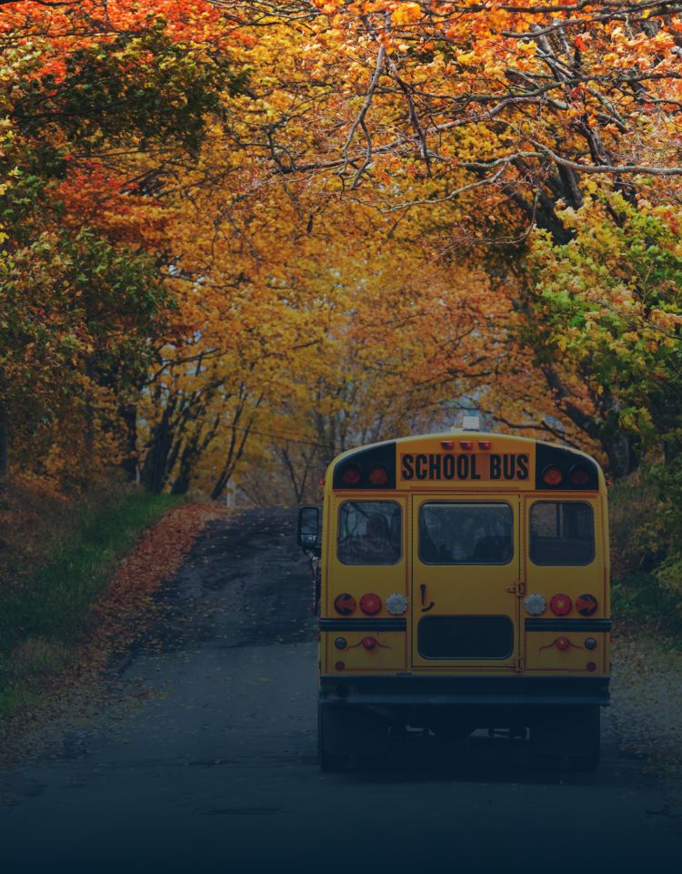 What You Need to Know about School Bus Safety