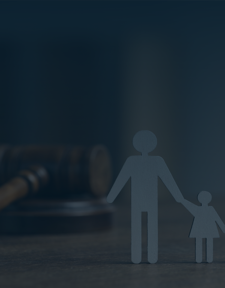 Guardianship During Litigation