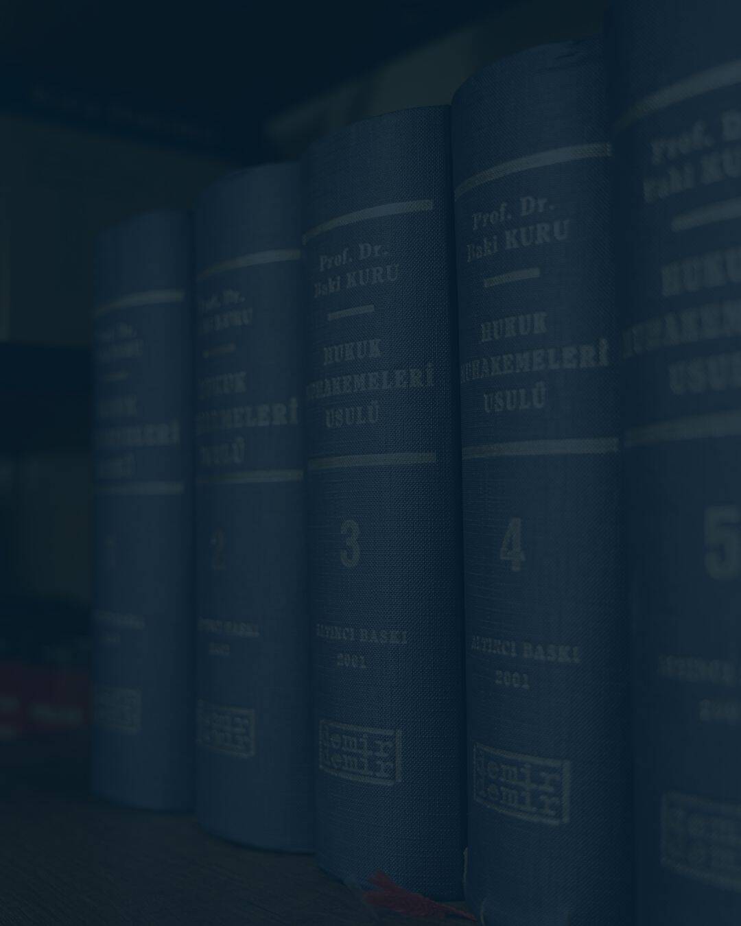 Traders General Insurance Company V Rumball, 2025 Onca 656